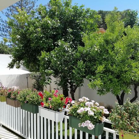 Mondello Beach The House With Green Lawns Villa Exterior photo